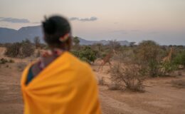 Wilderness, community and conservation in Northern Kenya