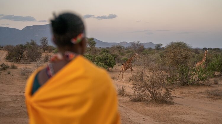 Wilderness, community and conservation in Northern Kenya