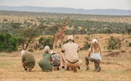 Where is best for a family safari during the October half-term?