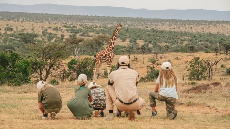 Where is best for a family safari during the October half-term?