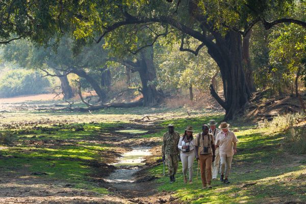 Walking safari in the South Luangwa National Park