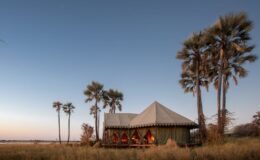 Where to go in Africa for a Christmas Safari?