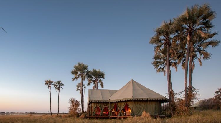 Where to go in Africa for a Christmas Safari?