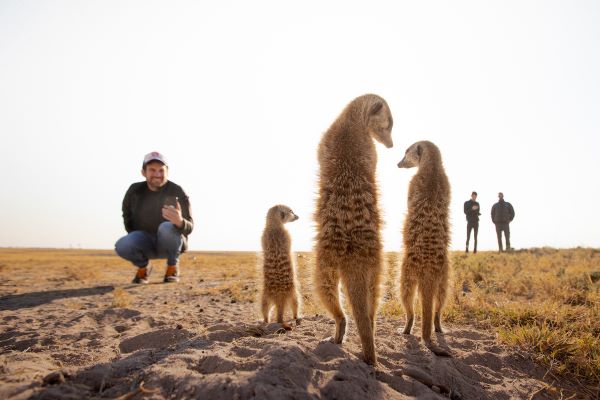 Habituated meerkats of the Makgadikgadi Pans