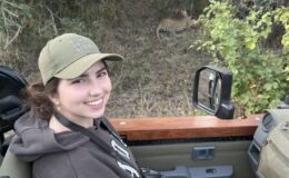 The A-Z guide to safari animals