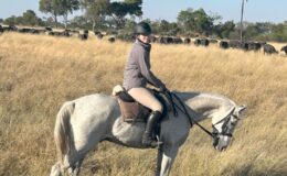 A riding safari seen through teenage eyes