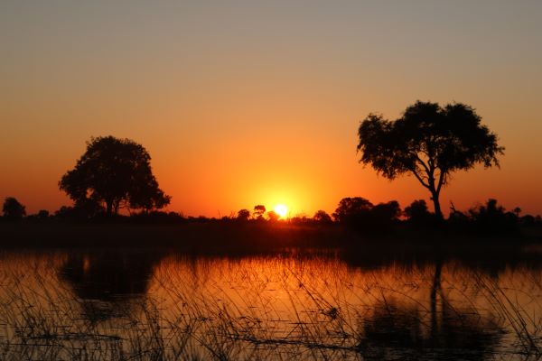 Okavango Delta sunset