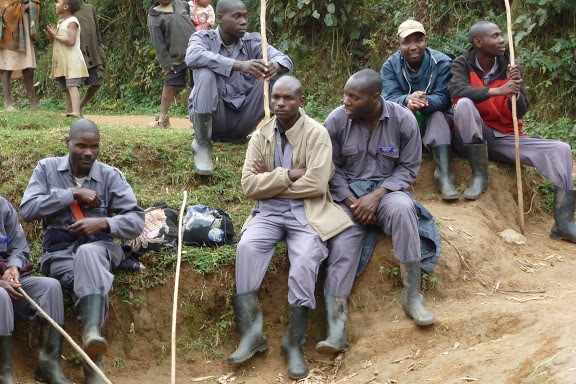 Porters in Bwindi