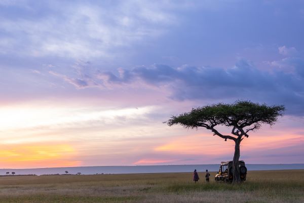 The Masai Mara