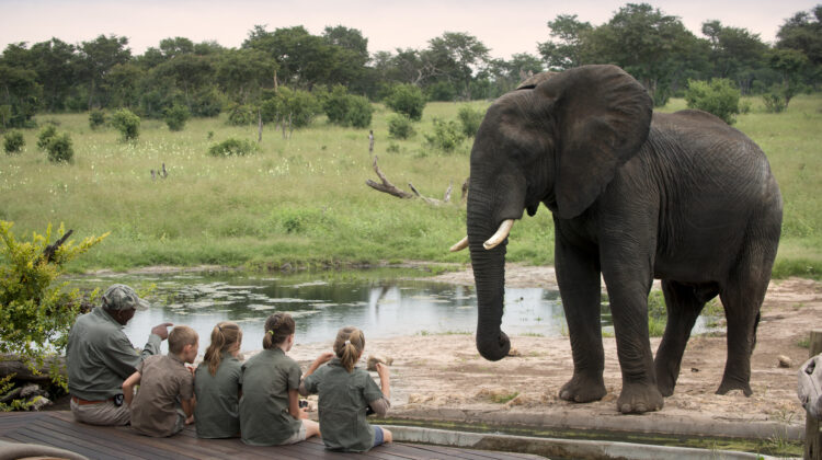Why a safari is the smartest holiday choice for your family