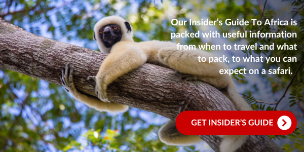 Blog Landing Page - Madagascar