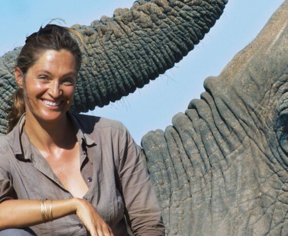 The elephants of Kenya with Saba Douglas-Hamilton