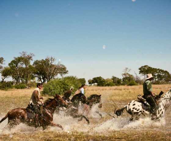 Join Lucinda for a riding safari in the Okavango Delta