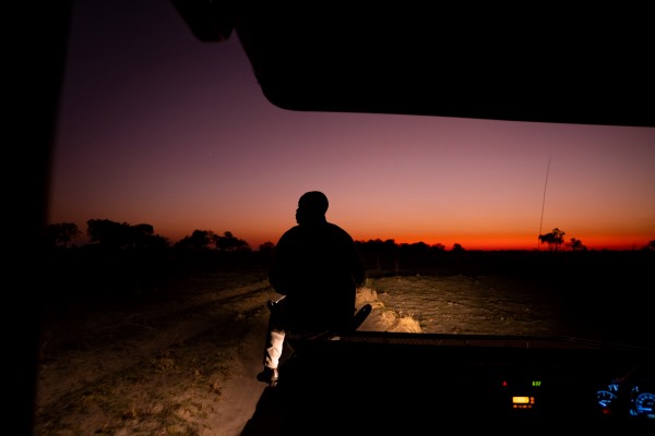 Pom Pom Camp - Night Drive -600x400