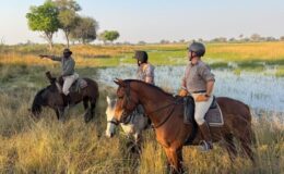 A riding safari in Botswana’s Okavango Delta: Marc’s adventure to Macatoo
