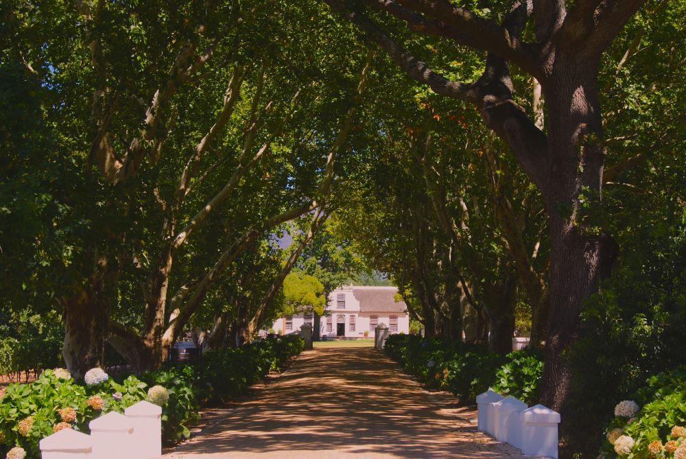 Private safari lodges, camps and beach villas