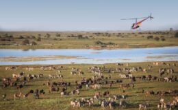 A guide to some of Africa’s most exceptional adventures