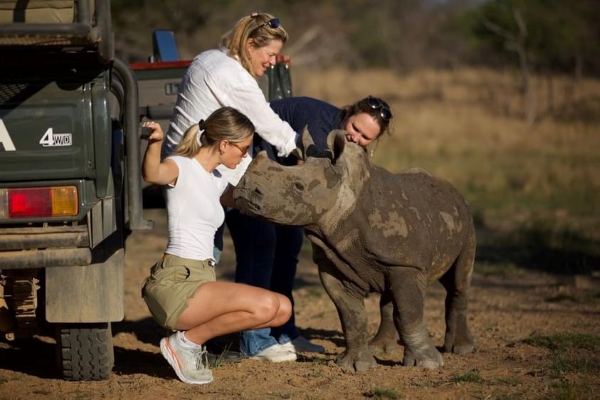 Robyn rhino notching in south Africa