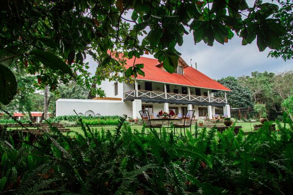 Lush greenery surround Ngara Sero Mountain Lodge