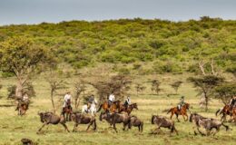 The Serengeti and the Masai Mara – the ultimate ride-off