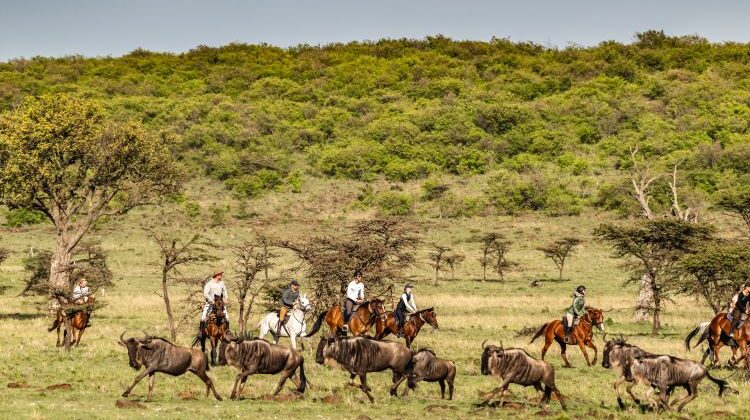 The Serengeti and the Masai Mara – the ultimate ride-off
