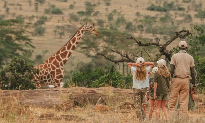 The finest African family safaris for 2026