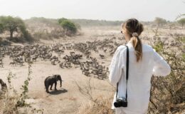 Where can I see the Zebra Migration?