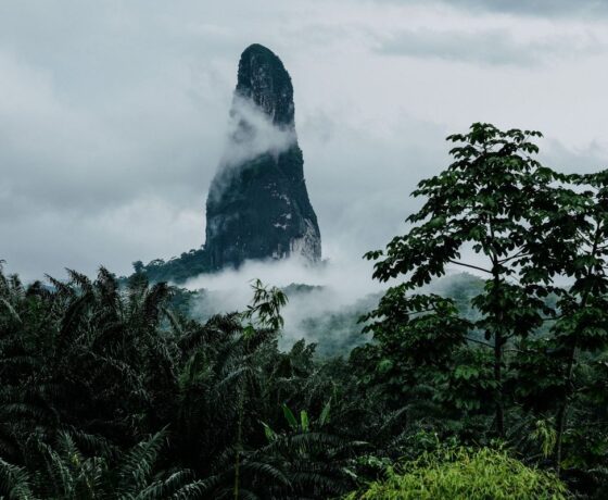 Pico Cão Grande