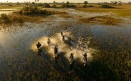 Where to go before and after your African riding safari