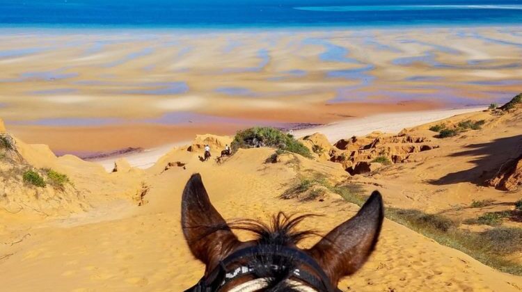From book to beach – One Hundred and Four Horses