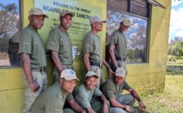 From poacher to protector: Imvelo’s Community Rhino Conservation Initiative
