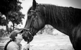 The importance of horse welfare on safari