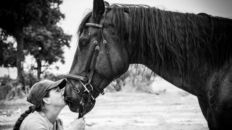 The importance of horse welfare on safari