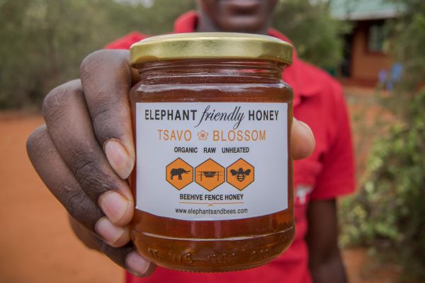 Elephant honey