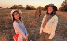 Guest diary: a family safari in Zimbabwe