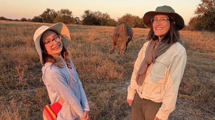 Guest diary: a family safari in Zimbabwe