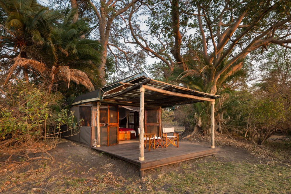Busanga Bush Camp – Zambia