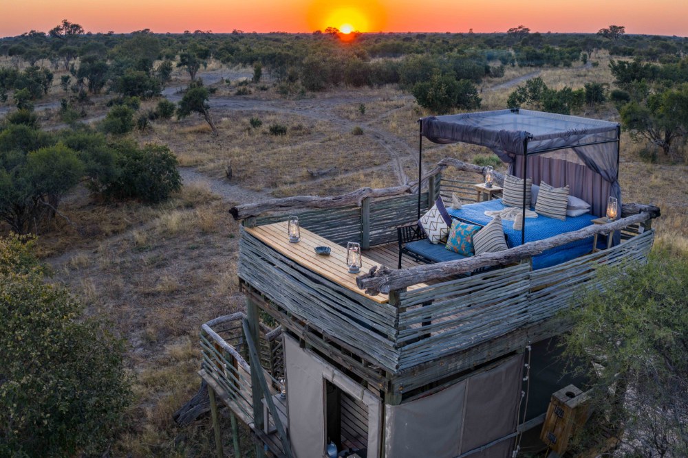 Khwai Starbeds - Botswana